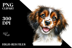 Cute Baby Brittany PNG Product Image 2