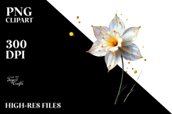 Daffodil Watercolor PNG Product Image 2