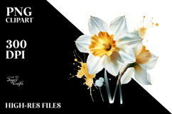 Daffodil Watercolor PNG Product Image 2