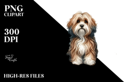 Havanese Surf and Shell Sand Product Image 2