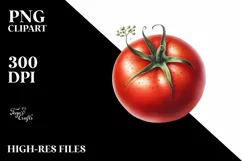 Watercolor Tomato | Sublimation Clipart Product Image 1