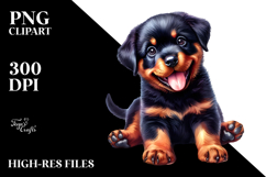 Cute Baby Rottweiler with Crazy Fur PNG Product Image 2
