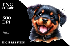 Cute Baby Rottweiler with Crazy Fur PNG Product Image 2