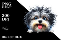 Crazy Fur Watercolor Havanese | Clipart Product Image 3