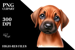 Baby Rhodesian Ridgeback with Big Eyes PNG Product Image 2