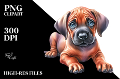 Baby Rhodesian Ridgeback with Big Eyes PNG Product Image 2