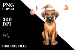 Cute Rhodesian Ridgeback with Christmass Decorations PNG Product Image 1