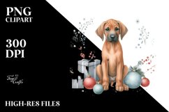 Cute Rhodesian Ridgeback with Christmass Decorations PNG Product Image 1