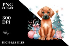 Cute Rhodesian Ridgeback with Christmass Decorations PNG Product Image 1
