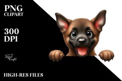 Funny Crazy Looking Baby Malinois | Sublimation | Clipart Product Image 1