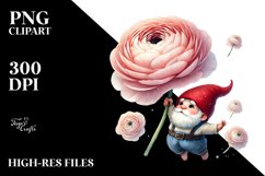 Floating Gnome with Ranunculus PNG Product Image 2