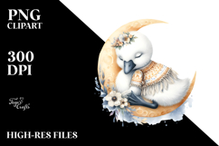 Boho Baby Swan Dressed for Summer PNG Product Image 2