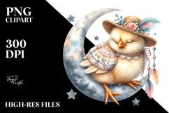Boho Baby Chicken Dressed for Summer PNG Product Image 2