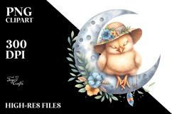 Boho Watercolor Baby Chicken Dressed for Summer PNG Product Image 2
