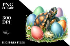 Digital Watercolor Baby Turtle PNG Product Image 2