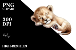 Digital Baby Lion Sleeping PNG Product Image 2