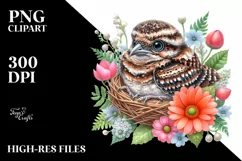 Vibrant Watercolor Baby Nightjar | Clipart Product Image 1