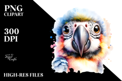 Baby Macaw PNG Product Image 2