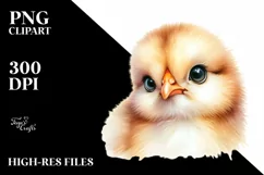 Baby Chicken with Big Eyes, Transparent PNG Product Image 3