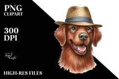 Chesapeake Bay Retriever Funny Haircut Product Image 3