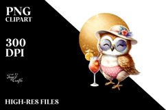 Owl in Beachwear, Transparent PNG Product Image 2