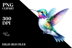 Baby Hummingbird Sublimation Clipart Product Image 2