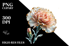 Carnation Watercolor Splash PNG Product Image 2