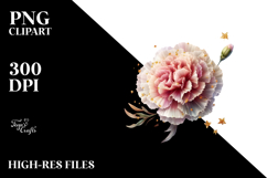 Carnation Watercolor Splash PNG Product Image 2