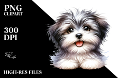Happy Baby Havanese with Big Eyes PNG Product Image 2