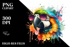 Colorful Macaw Sunglasses | Sublimation Clipart Product Image 3