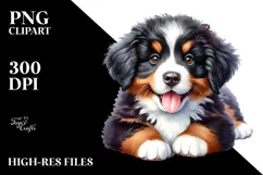 Baby Bernese Mountain Dog, Transparent PNG Product Image 2