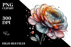 Ranunculus Watercolor Splash PNG Product Image 2