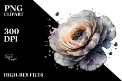Ranunculus Watercolor Splash PNG Product Image 2