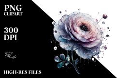 Ranunculus Watercolor Splash PNG Product Image 2