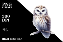 Simple Owl White Background Product Image 2