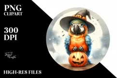 dressed for Halloween Baby Macaw PNG Product Image 3