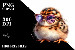 Vibrant Baby Partridge with Sunglasses | Clipart Product Image 3
