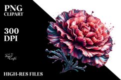 colorful Shiny Carnation -Like Material Splash | Clipart Product Image 3