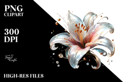 Abstract Lily PNG Product Image 2
