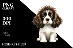 Cute Baby English Springer Spaniel, White Background Product Image 2