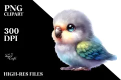 Cute Baby Parrot, Transparent PNG Product Image 2