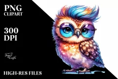 Cute Baby Owl Posing, Cool Haircut PNG Product Image 1