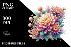 Vibrant Chrysanthemum with Transparent PNG Product Image 3