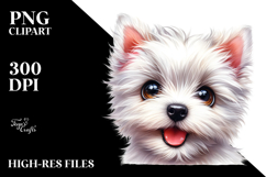 Baby West Highland White Terrier, White Background Product Image 2