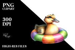 Sublimation|Clipart Product Image 1