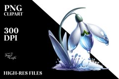 Detailed Glossy Snowdrop Clipart Product Image 1