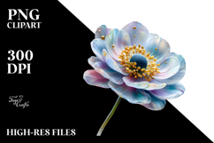 Anemone, Watercolor PNG Product Image 2