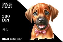 Happy Baby Rhodesian Ridgeback PNG Product Image 2