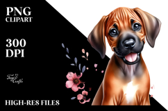 Happy Baby Rhodesian Ridgeback PNG Product Image 2