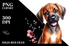 Happy Baby Rhodesian Ridgeback PNG Product Image 2